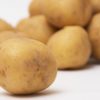 potato01