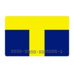 1000万円ポイ活主婦(内村カレンの超社会科見学) 10 tpoint01