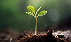 Thumbnail of post image 155