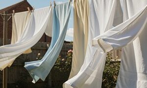 NHK石原さとみトリセツショーふわふわタオル洗濯術