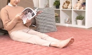 電気不要,ホットカーペット,ひなだん