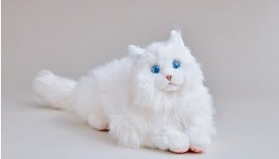 Thumbnail of post image 069