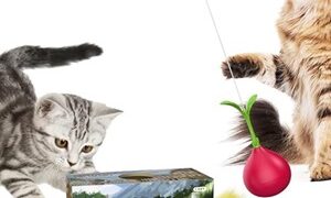 Thumbnail of post image 199