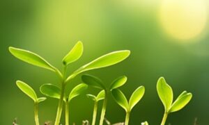 Thumbnail of post image 183