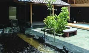 Thumbnail of post image 046