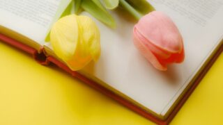 Thumbnail of post image 019