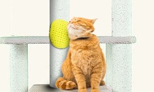 Thumbnail of post image 121