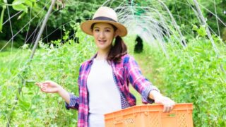 Thumbnail of post image 002