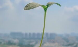 Thumbnail of post image 024