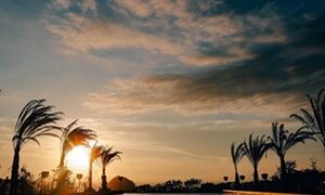 Thumbnail of post image 016