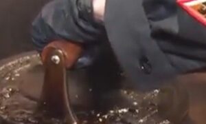 Thumbnail of post image 083