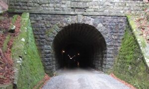 Thumbnail of post image 136