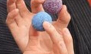 長澤まさみの丸いスイーツ