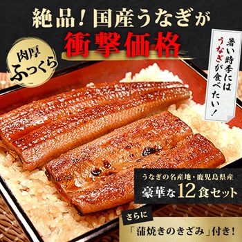 じゅん散歩鹿児島県産うなぎ