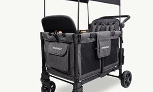 横澤夏子の4人乗りベビーカー