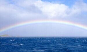 Thumbnail of post image 129