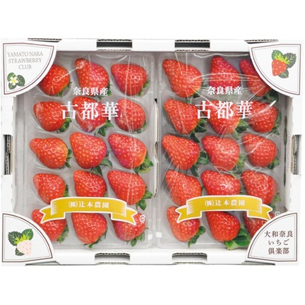 マツコの知らない世界フルーツ研究科おすすめいちご