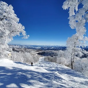 NHKドラマ「雪煙チェイス」のロケ地スキー場