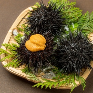 市川團十郎白猿の大盛りウニの寿司屋