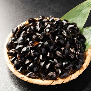 笑ってコラえてで石原良純さん訪問の道の駅十三湖高原のしじみとラーメンの通販