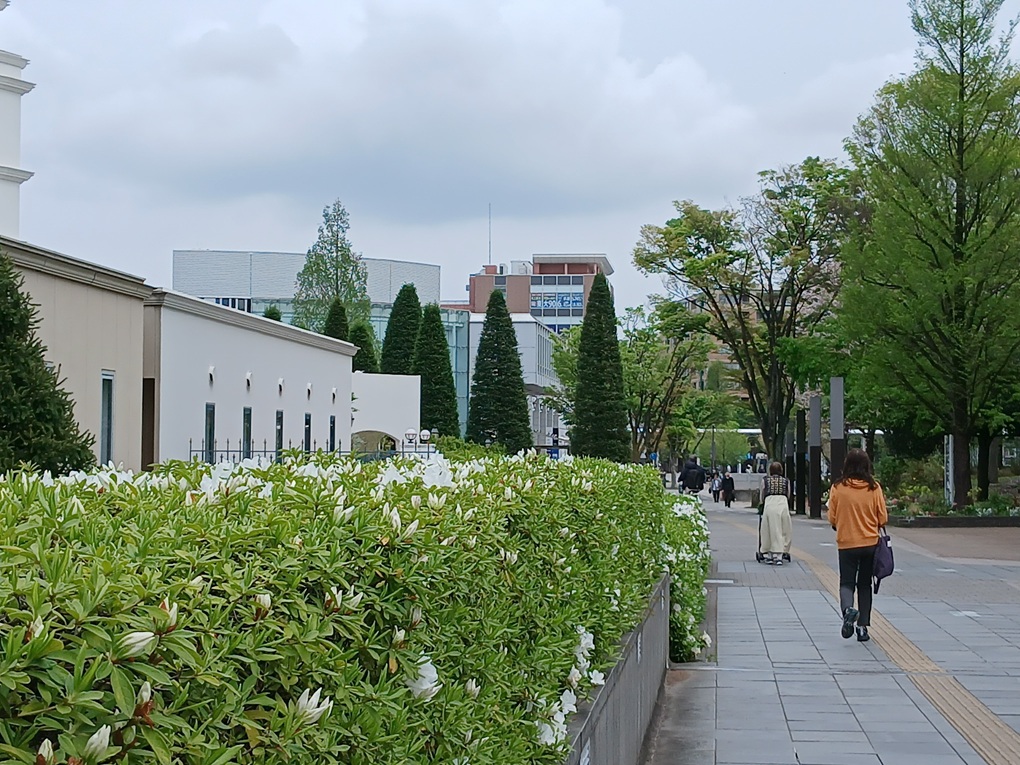 舘様主演ドラマ「タミ恋」ロケ地巡り