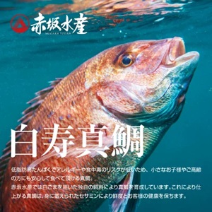 青空レストラン愛媛県西予市白寿真鯛